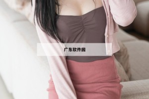 国产精品96久久久久久:国产精品96，探索中国制造的魅力与传承